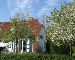 altes Haus der Seefahrtschule-Wustrow-Gruenbaum-1